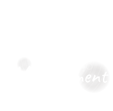 web×management